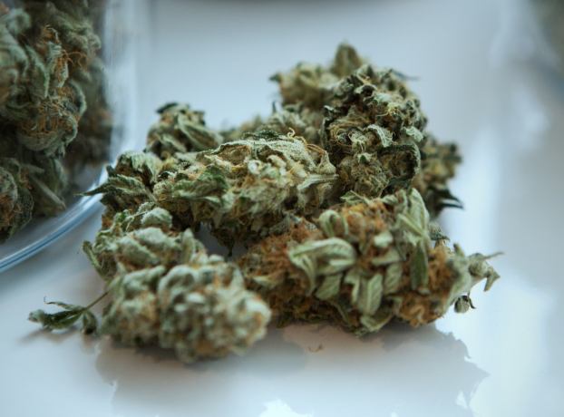 7 Conditions that Medical Marijuana can Help