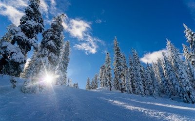 5 Vitamins To Get You Through The Winter