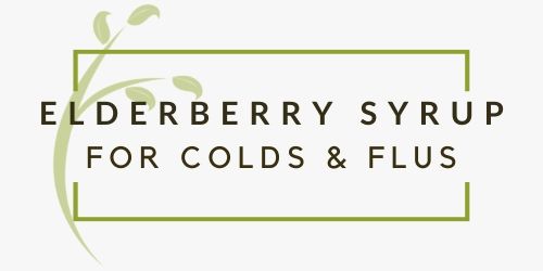 Elderberry Syrup: The Perfect Sore Throat Remedy