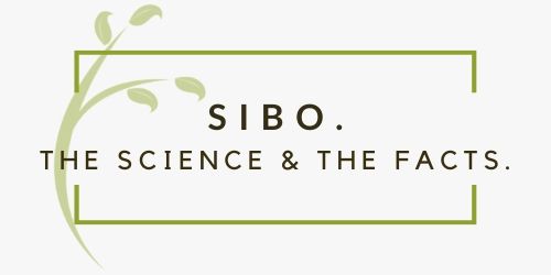 What is SIBO?