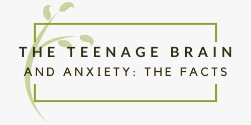 Your Teenager’s Anxiety & Their Gut Health