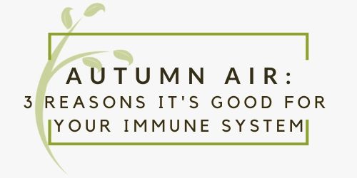 3 Reasons Autumn Air Is Good For Your Immune System